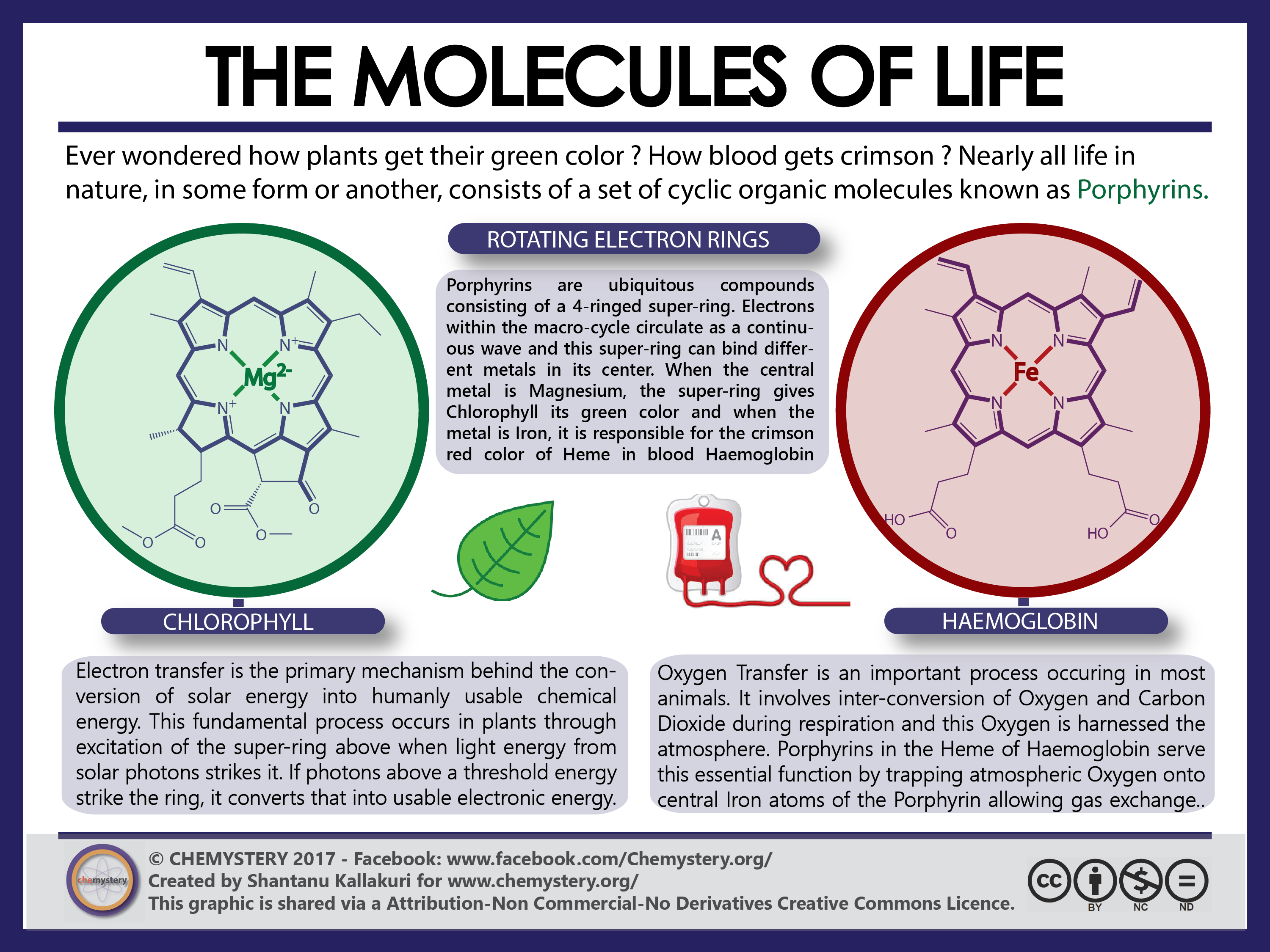 1. The molecules of Life – “Porphyrins”